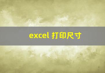 excel 打印尺寸